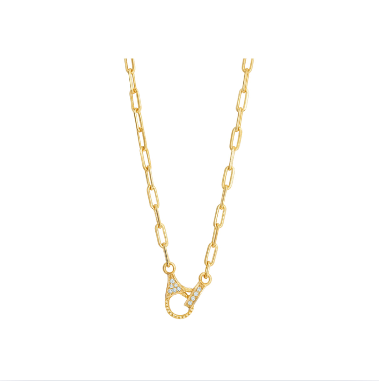Zia Gold Chain Clasp Necklace